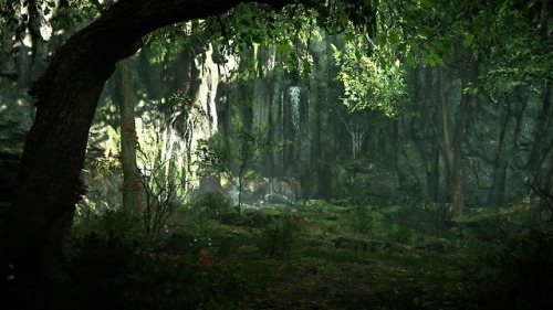 ancienthylian - The woods on the way to Pelagia are my favorite...
