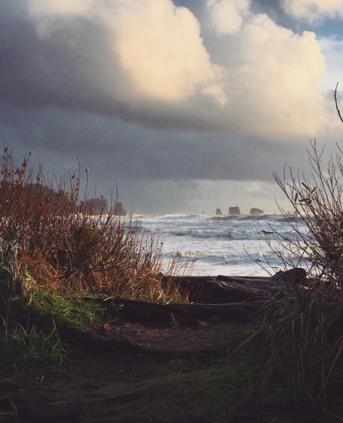 Porn Pics highenoughtoseethesea:  Just after high tide,