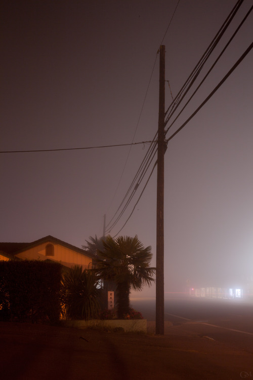 in the night fog