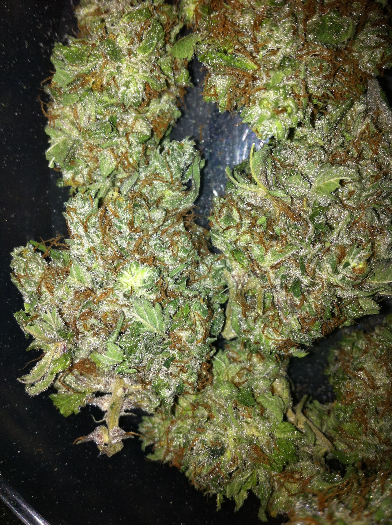 m0nster9:  Close up of my newest Half Oz. 