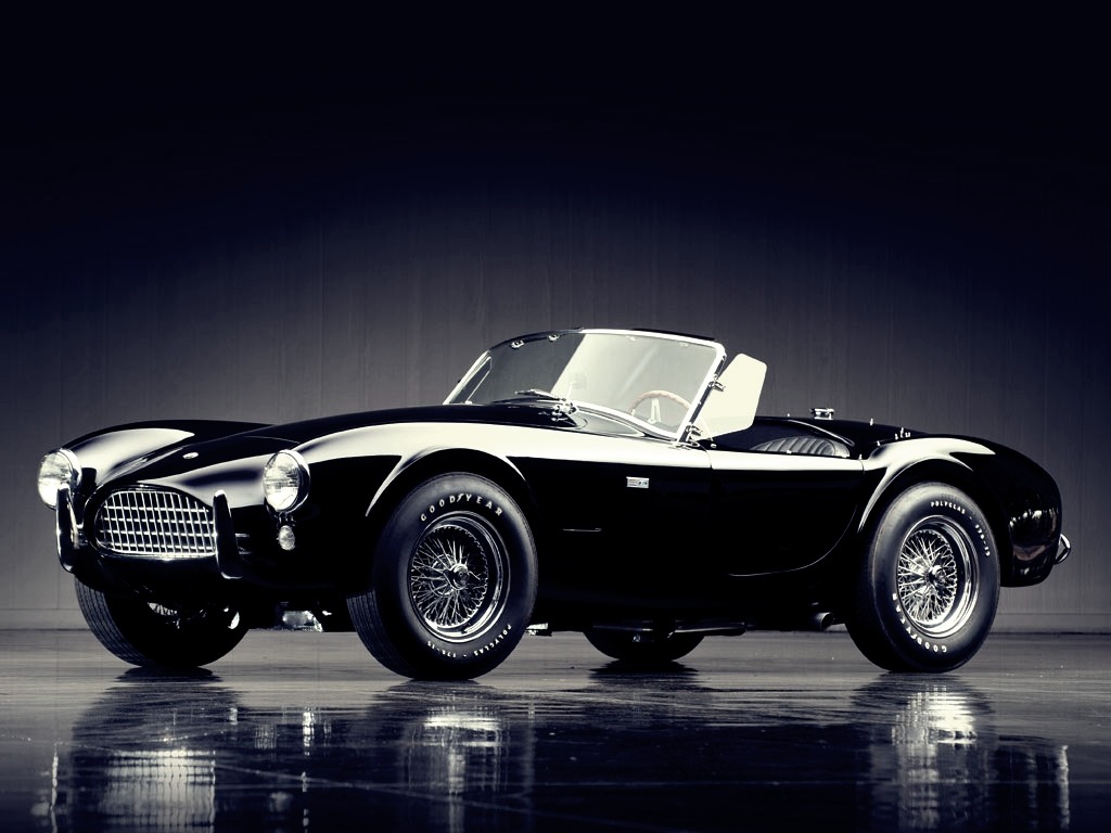 1womanofwonder:  happyninjabunny:  Shelby Cobra  Yes…that 