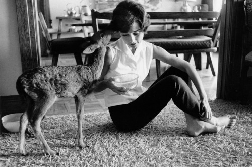 Audrey Hepburn With Her Pet Deer