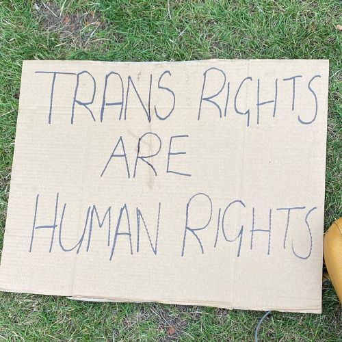 Read the signs bitches!&hellip;#transrightsarehumanrights #translivesmatter #blacktranslivesmatter #