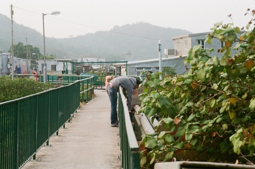 Lamma Island