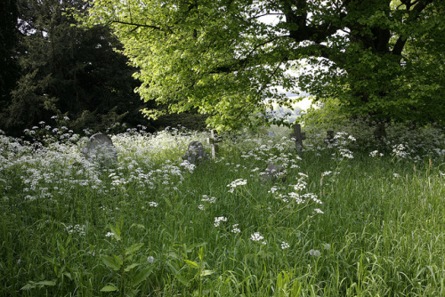 worldofgrania:Sussex Churchyard by Adam Swaine on Flickr.