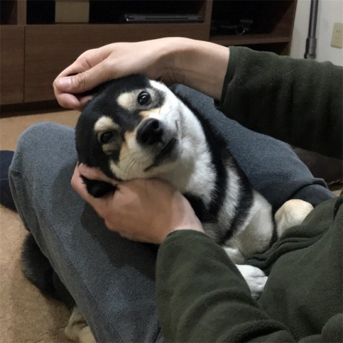 IDEK What This Blog Is Anymore (NSFW at times)