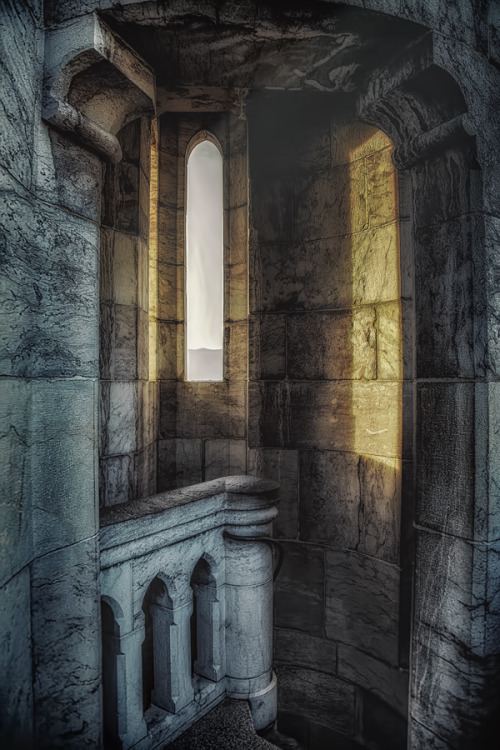 thepictorialist: Last light—St. Pierre Cathedral, Geneve, Suisse 2010 Correction: This was err