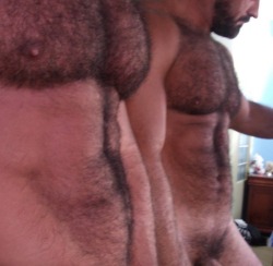 hairy-chests:  Hairy Chest-> http://hairy-chests.tumblr.comR.Big