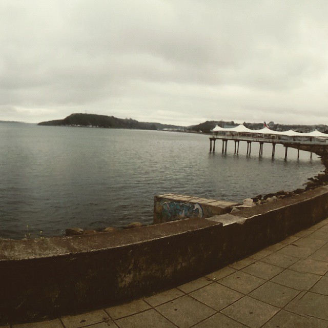 murallamuerta:  Puerto Montt