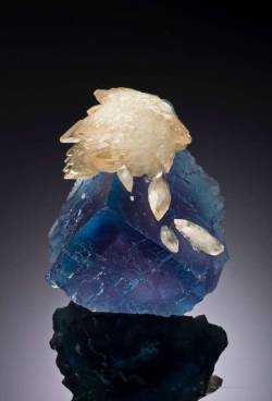 hematitehearts:  Calcite on FluoriteSize: