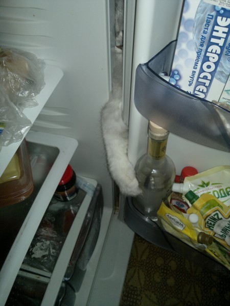 “The Bottle Is Mine… All Mine!!”