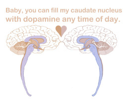 neuromorphogenesis:Happy Neuro-Valentines Day!Some good ones: Trying to describe how amazing you are gives me anomic aphasia. I just can’t find the words.Hey baby, my supplementary motor area is going crazy thinking about all the things I want to do