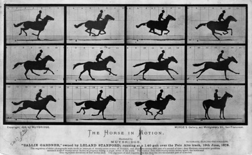 Eadweard Muybridge, The Horse in Motion, 1878Image released into the public domain.