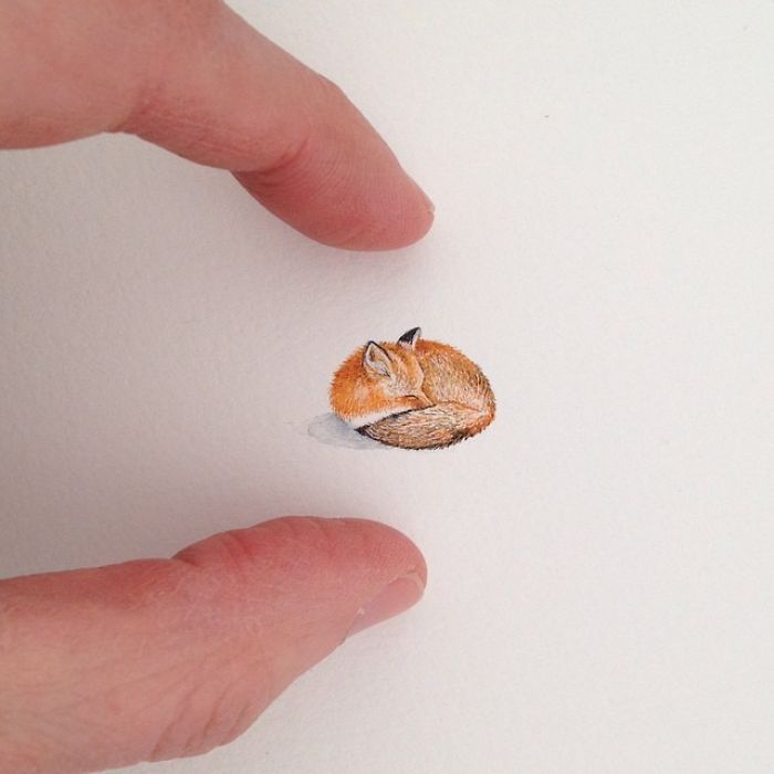 culturenlifestyle:  Adorable Miniature Illustrations by Brooke Rothshank Miniature