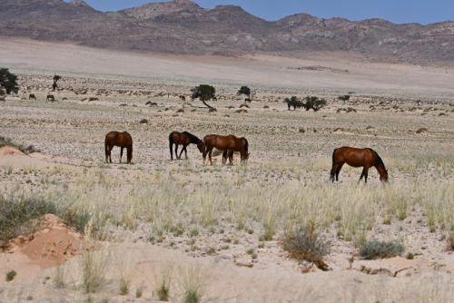 Namibia 2023/24 - Tag 12