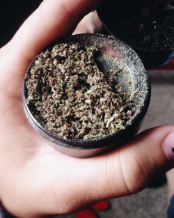 thesublimekush: weed