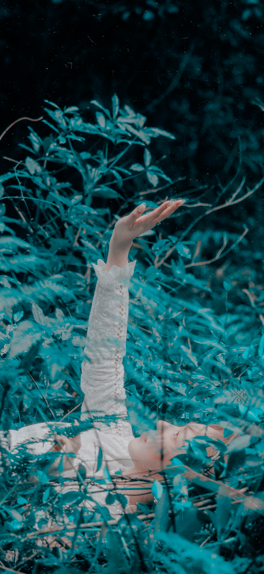Wendy; Like Water