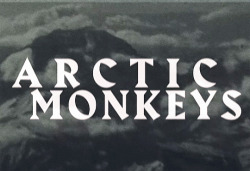 fovmulder:Arctic Monkeys - Live in MexicoDir.