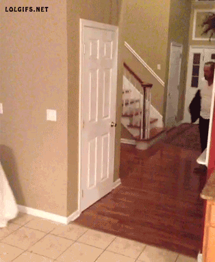 gif-guy:  ☆ ☆ Cool Funny Gifs ☆ ☆ 