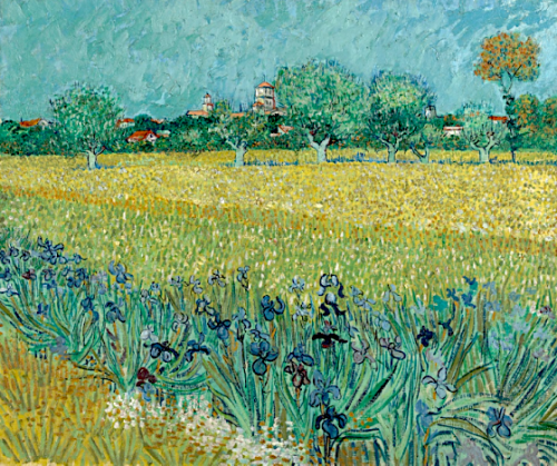 Vincent van Gogh. Field with Irises near Arles. Arles, May 1888.