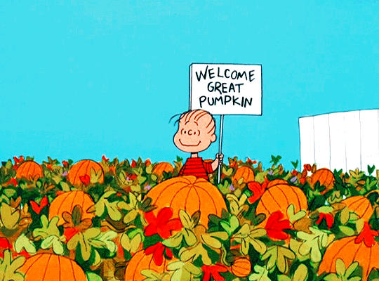 fd09c79a4a16346f4f20585ecec27dc760f8daa2.gif