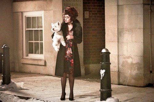 These are a few of my favourite things! | #3Helena Bonham Carter &amp; various animals.