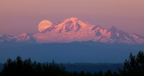moonandspheres:  Big Moon Rising by Gordon Ashby