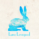 hawthornc:characters + their patronuses