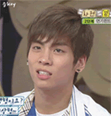 jjongie-poo:  askleetaemin-ah:   Pretty witty kitties~  NO   Yes 