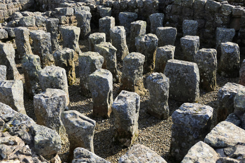 thesilicontribesman: Vindolanda Roman Fort, near Hadrian’s Wall, Northumbria, 24.2.18.Various 