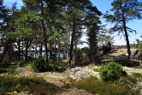 Sibberön, Vålön and Kalvön. Three small islands located in Vänern, the largest lake in Scandinavia. 