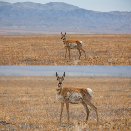 Carrizo Plain National MonumentThis was our first time to Carrizo Plain and it&rsquo;s a truly i