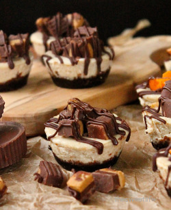 veganfoody:  Chocolate Peanut Butter Cup