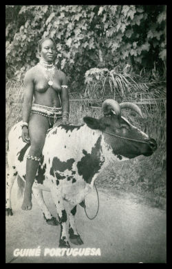 Bissau Guinean Woman Riding A Cow, Via Ebay.