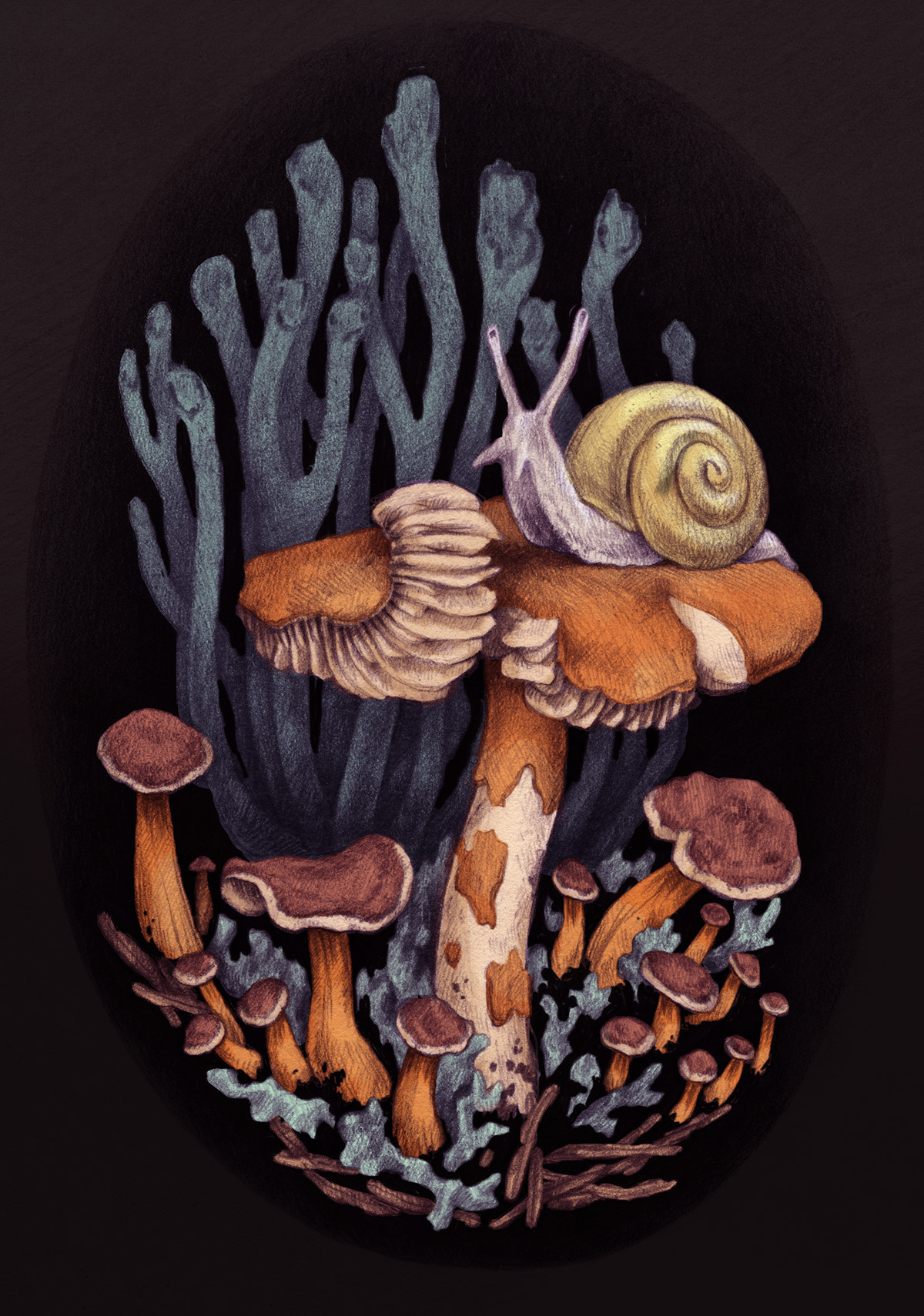 compassandwheel:  A series of mushroom illustrations! Might be printin’ these up