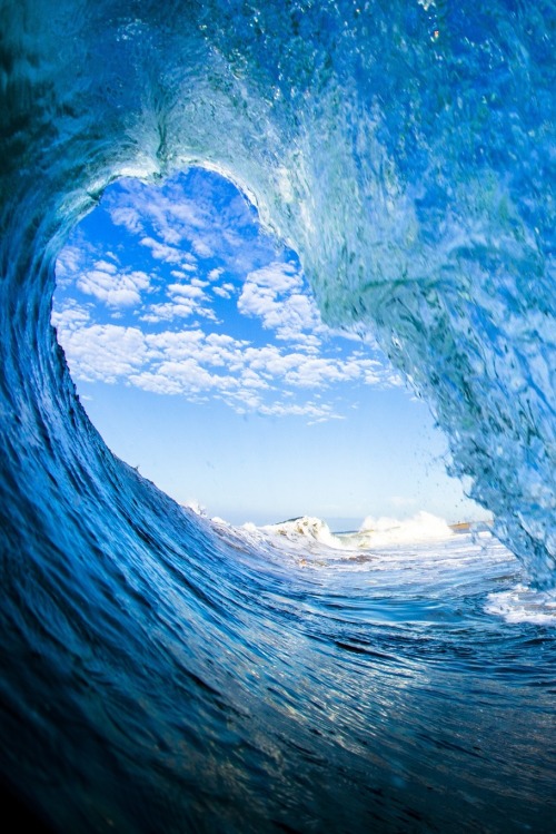 0rient-express:  Untitled | by carlos santana.               