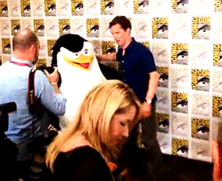 sherlockens:Benedict Cumberbatch and a penguin // (x)