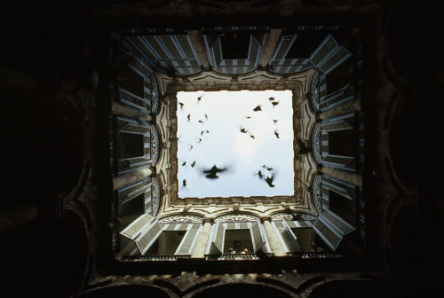 A flock of birds fly up from an enclosed courtyard in Old Havana, December 1987.Photograph by James 