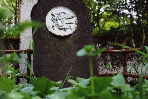 Cimetery in Iceland, 2015