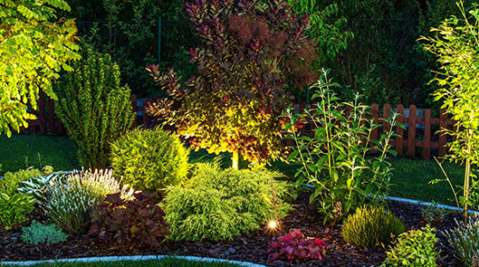 Creating a stunning landscape includes installing lighting