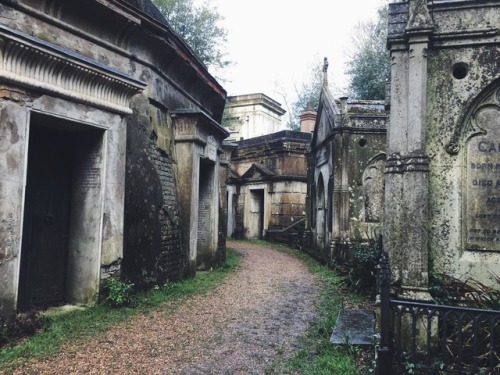 the-wanderlust-diary: Highgate Cemetery - London, England January 2016
