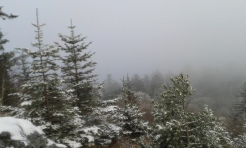 Mount Chitinza, Primorsky region, Russia