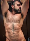 thehairymenhunterisback: