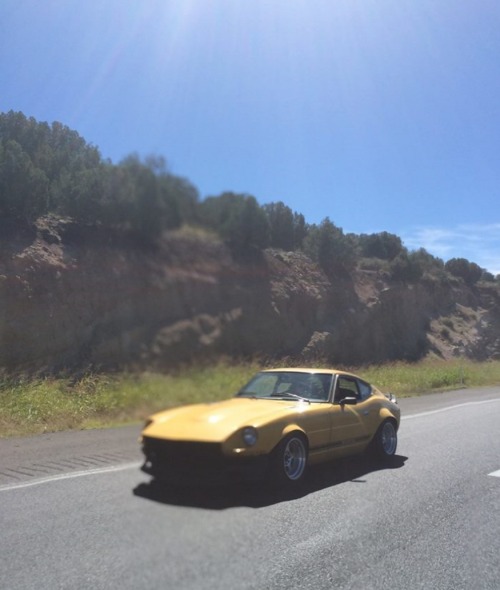 speedgato:Datsun Southwest likes the road trip. 