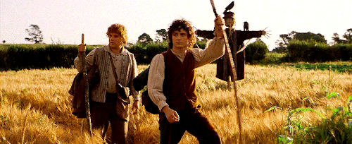 aurrorpotter:“It’s a dangerous business, Frodo, going out your door. You step onto the road and if y