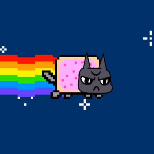 At The Request Of @rainy-intel, I Present To You Nyarinder Cat