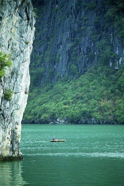 omgshowmetheworld:   Amazing Snaps: Halong Bay, The Dragon Bay, Vietnam | See more   