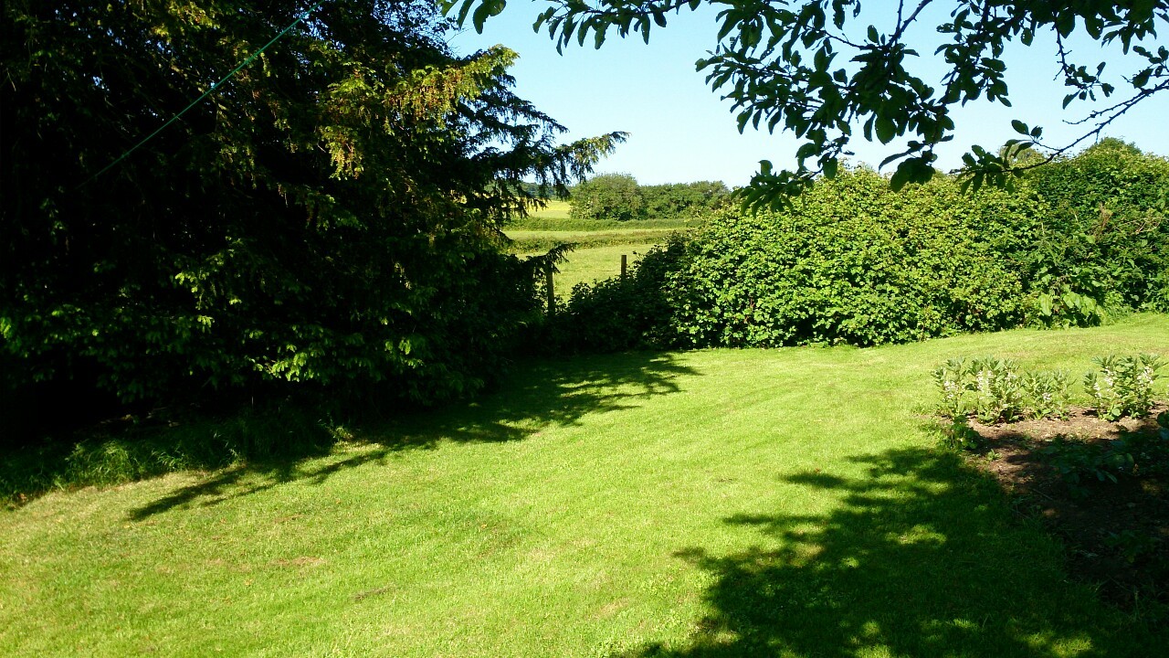 Sunday morning sunshine in Burghclere.