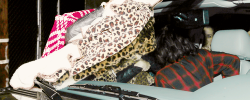 ladyxgaga:  Gaga leaving a recording studio