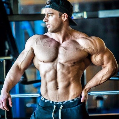zoltanyuri:  MARKO DJORDJICJobs:                     Model / BodybuilderFrom:                     AustraliaLives in:                Melbourne, Victoria, Australia